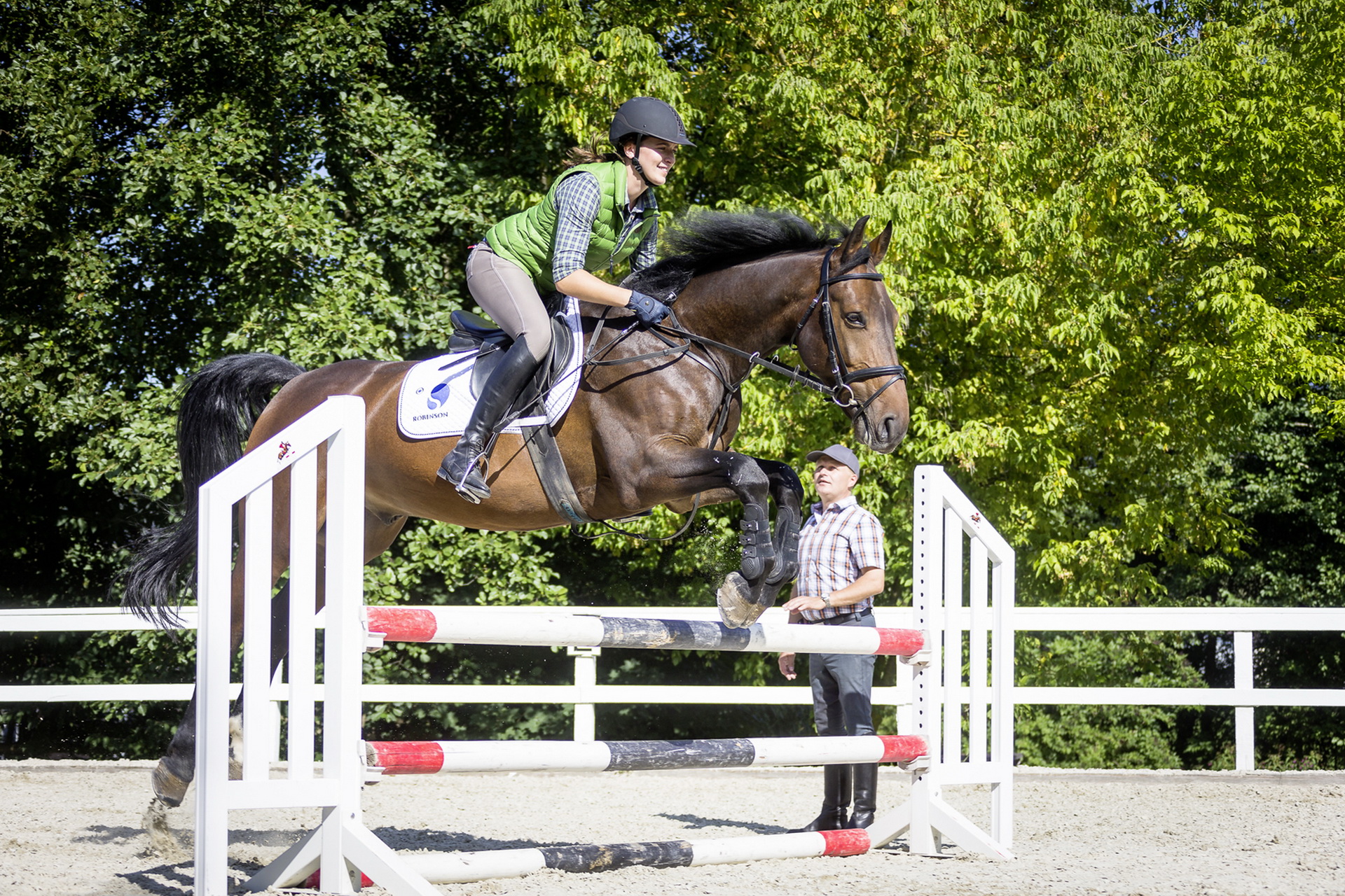 Vielfältiger Reitunterricht für Anfänger, Fortgeschrittene, Wiedereinsteiger, Groß und Klein