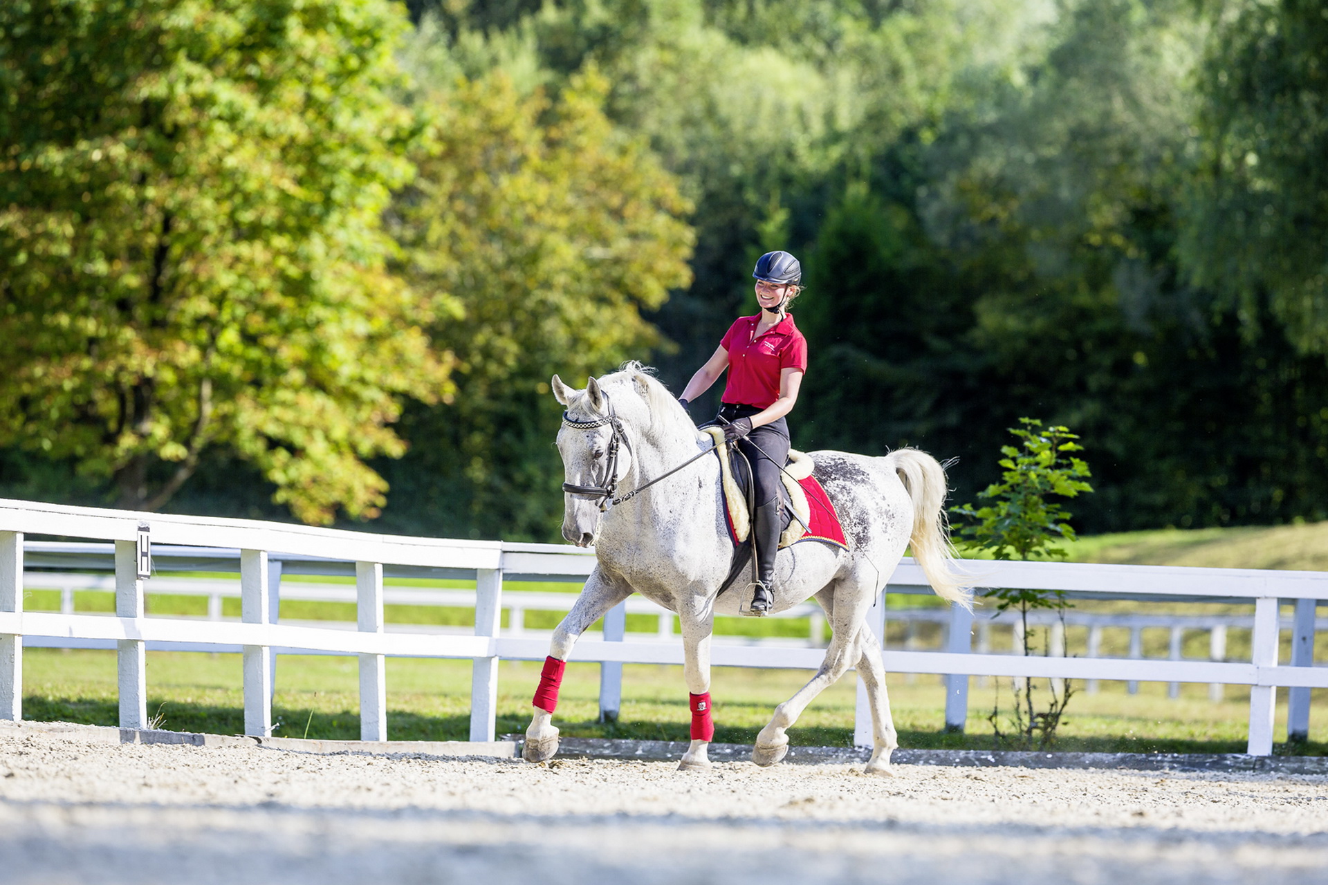 Vielfältiger Reitunterricht für Anfänger, Fortgeschrittene, Wiedereinsteiger, Groß und Klein